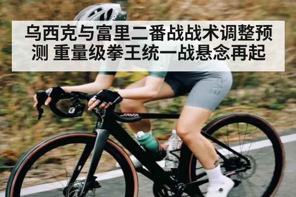 乌西克与富里二番战战术调整预测 重量级拳王统一战悬念再起